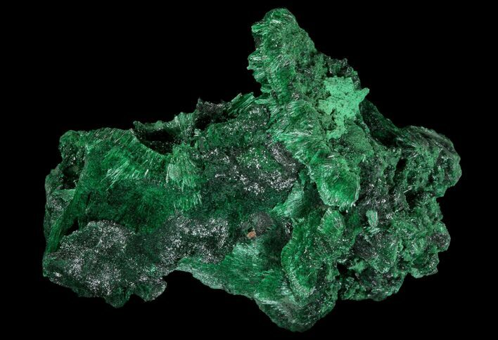 Silky Fibrous Malachite Cluster - Congo #81769